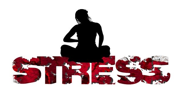 Stress and Your Immune System - What's the Deal?